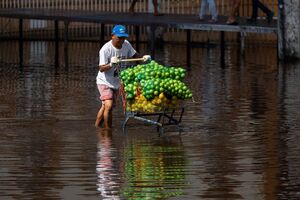 Fotogaleria. Manaus regista as maiores cheias do último século