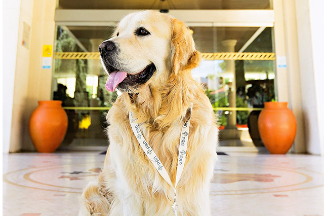 Levámos o cão ao congresso do PAN