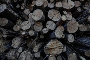 Agricultores já podem reportar prejuízos do incêndio de Monchique e Portimão
