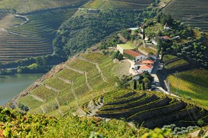 Crasto, uma quinta pioneira no Douro