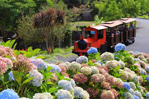 Parque Temático da Madeira é de visita obrigatória