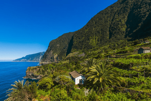 Descubra 12 razões para visitar a Madeira