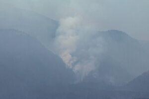 Cerca de 200 incêndios ativos no Canadá devido a recorde de temperatura máxima - sábado