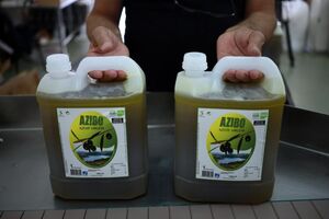 A trajetória descendente do preço do azeite teve um intervalo entre fevereiro e março de 2025