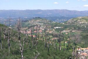 Área que ardeu em 2017, no distrito de Viseu. 