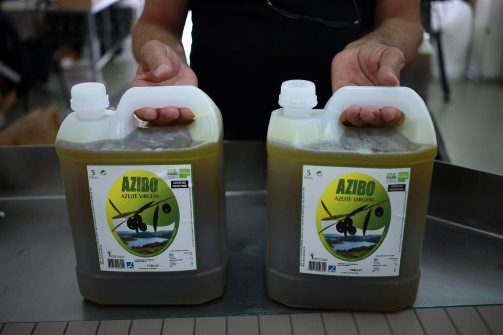 A trajetória descendente do preço do azeite teve um intervalo entre fevereiro e março de 2025