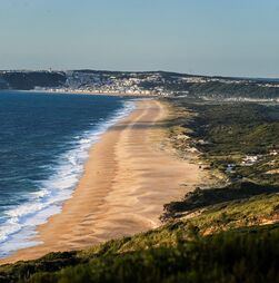Banhistas assistidos por contaminação em praia da Nazaré aumentou para 116