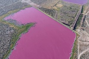Poluição torna água de lagos da Patagónia rosa fluorescente