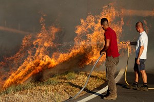Fogo do Algarve obrigou a retirar de casa 81 pessoas e a evacuar canil 