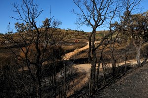 Dispositivo de combate a incêndios em alerta amarelo em nove distritos