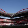 Benfica confirma existência da Benfica Internacional e diz desconhecer investigação