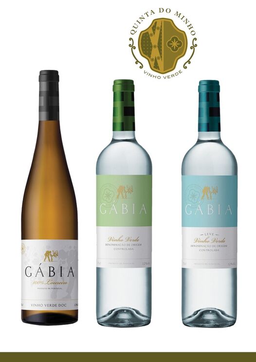 Casa Ermelinda Freitas conquista mais de 180 medalhas em 2021