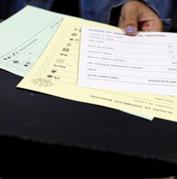 Autárquicas: Recontagem em São Domingos de Benfica (Lisboa) agendada para terça-feira