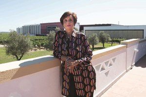 Casa Ermelinda Freitas: tradição e competitividade
