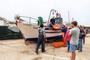 Nazaré, a história para lá do surf