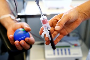 AR aprova por unanimidade proibição da discriminação na doação de sangue