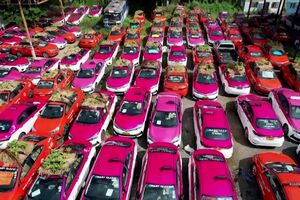 Cooperativa de táxis na Tailândia transforma 300 veículos em hortas para combater a crise - sábado