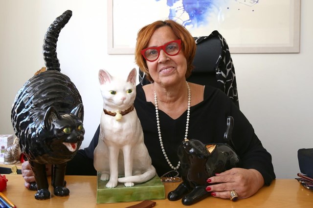 Margarida Martins perde freguesia de Arroios, em Lisboa