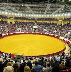 Ministério Público abre inquérito a morte de forcado colhido por touro no Campo Pequeno