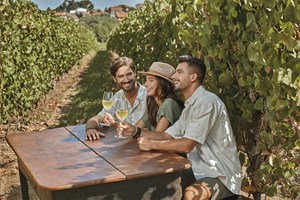 Uma região única no mundo com vinhos incríveis