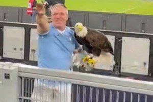 Ex-tratador da águia do Benfica suspenso na Itália após saudação fascista