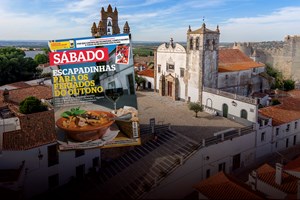 As melhores viagens gastronómicas de Norte a Sul do País