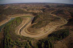 Investigação. A morte rápida do Rio Mira