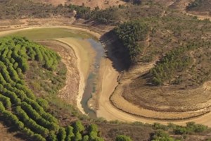 Mira. Uma viagem por um rio morto