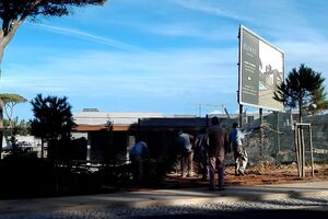 Empresário Miguel Champalimaud filmado a ordenar corte de dezenas de árvores e arbustos em Cascais