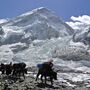 100 anos de subidas ao Everest