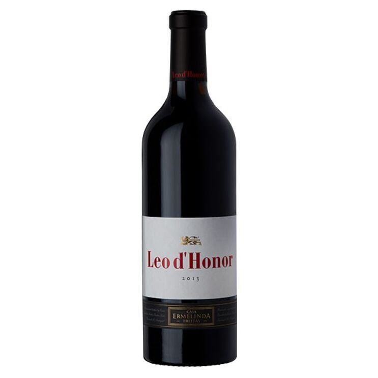 Vinhos para todos os bons momentos