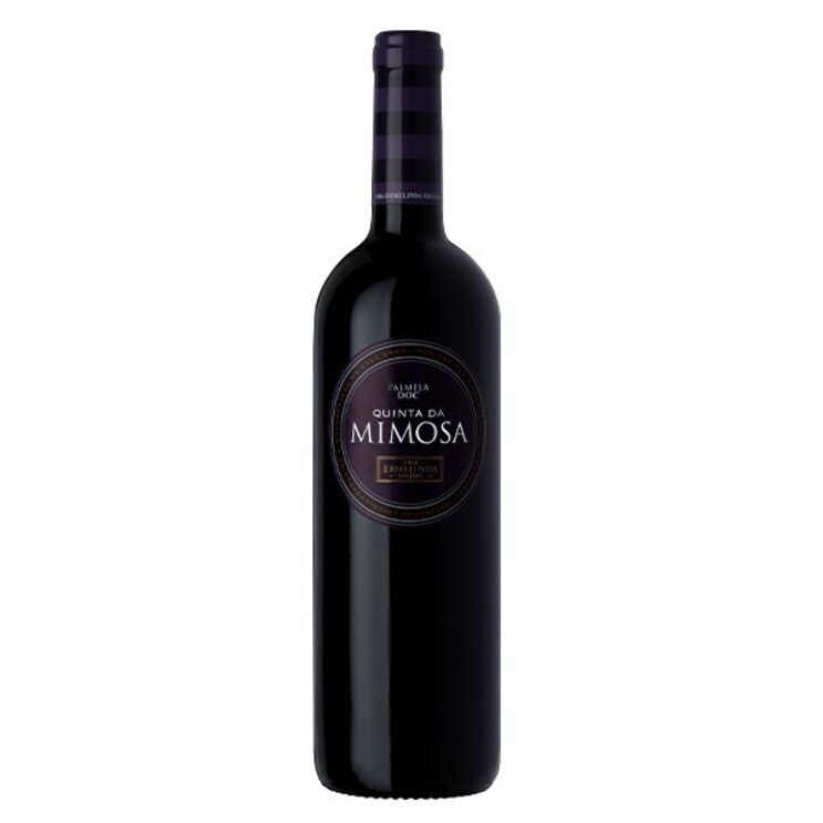 Vinhos para todos os bons momentos