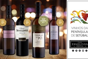 Casa Ermelinda Freitas ganha prémio de melhor vinho branco da Península de Setúbal