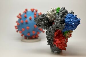 Covid-19 - proteína spike