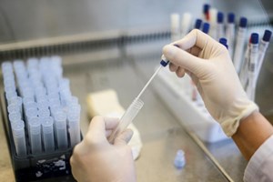 Publicada portaria que permite às universidades e politécnicos fazerem testes à covid-19