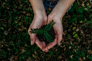 BRITA publica Relatório de Sustentabilidade 2020