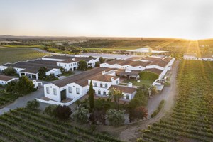 Estremus: Uma estrela vínica no topo de Estremoz