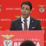 Direção da SAD do Benfica apresenta renúncia aos cargos