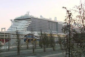 Número de casos em navio cruzeiro aumentou para 68. Passageiros estão a ser retirados