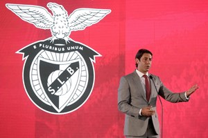 SAD do Benfica alarga administração a nove elementos por causa do 'Rei dos Frangos'