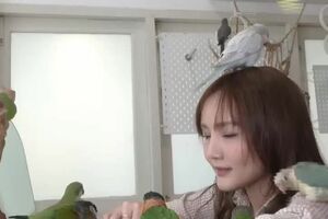 cafe passaros ‐ Feito com o Clipchamp.mp4