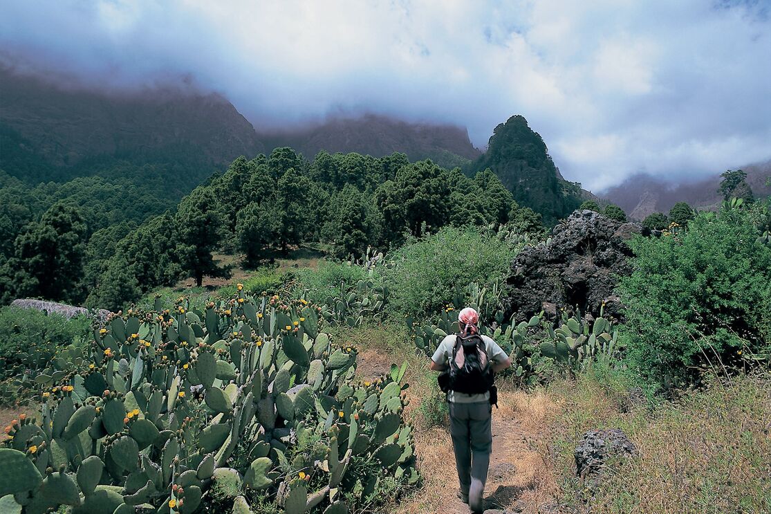 O paraíso aqui ao lado