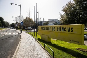 Jovem condenado por planear ataque à Faculdade de Ciências sai da prisão a 19 de novembro