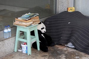 Lisboa prolonga até quarta-feira plano de apoio aos sem-abrigo devido ao frio