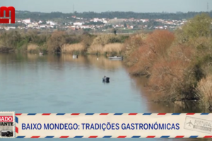 T2 EP06 SÁBADO VIAJANTE BAIXO MONDEGO