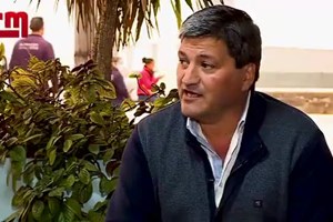 Investigação SÁBADO. Tribunal quer tirar criança com dois anos de família onde cresceu