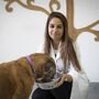 O novo mundo dos cães e gatos veganos