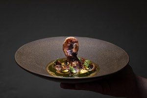 Os novos pratos que a primavera trouxe a oito restaurantes de Lisboa e Porto