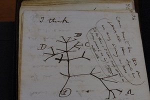 Depois de 20 anos desaparecidos, cadernos de Darwin foram devolvidos