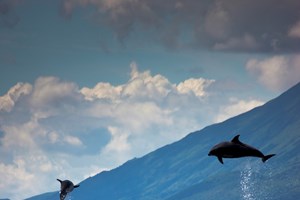 Pico: a ilha de que se fala